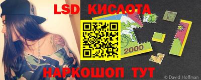 Альфа ПВП Ярославль