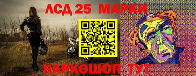 Альфа ПВП Ярославль