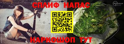 прущие грибы Ярцево