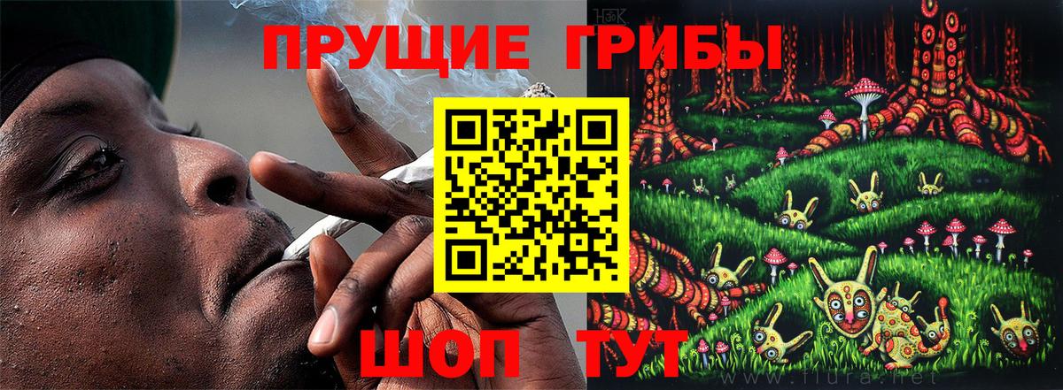 Псилоцибиновые грибы прущие грибы  Галлюциногенные грибы Psilocybe  Аргун  Вход с VPN 